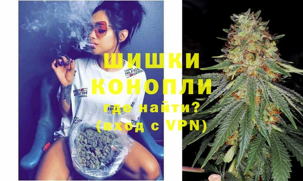 сатива Осташков