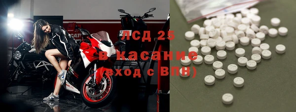сатива Осташков