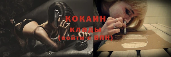 сатива Осташков
