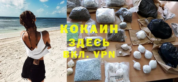 сатива Осташков
