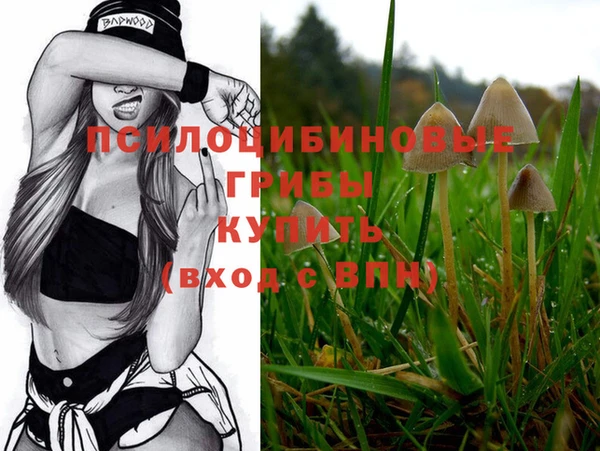 герыч Осинники