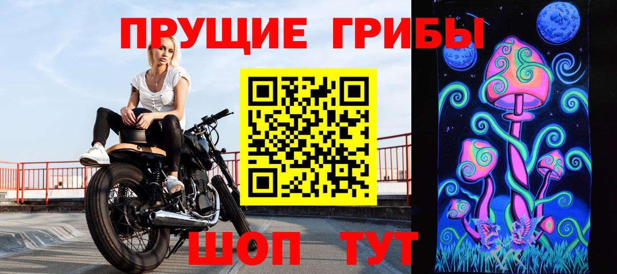 Галлюциногенные грибы GOLDEN TEACHER  Вход с VPN  Топки  Галлюциногенные грибы Psilocybine cubensis 
